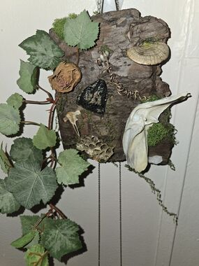 Handcrafted Natural Wood Wall Décor with Greens, Oddities, Bones, And Stones